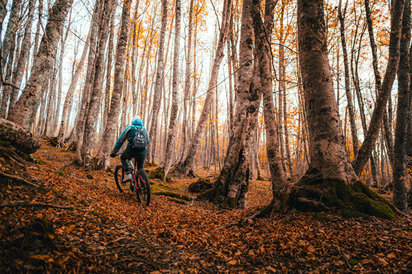 Mountain bike al Bosco Favino